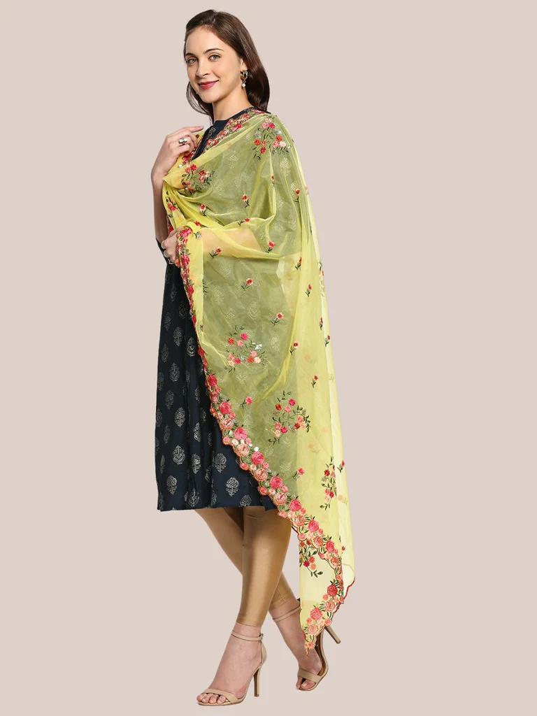 Organza Dupatta with Multicolor Floral Embroidery - Image 7