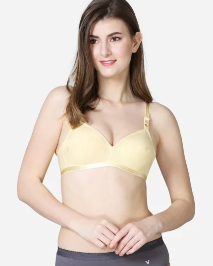 Single layered pointed seamed cup medium coverage bra